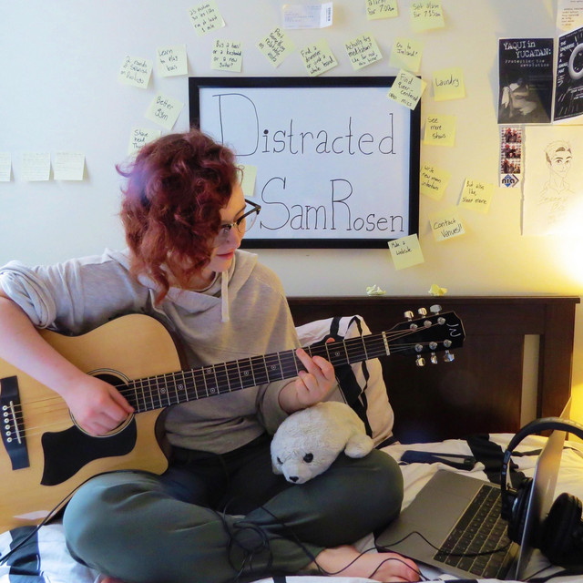 Distracted cover