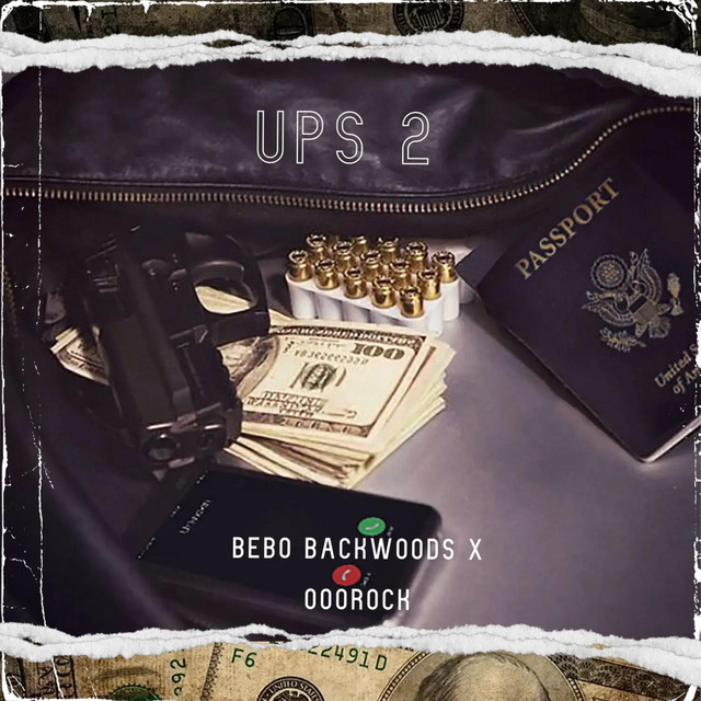 UPS 2 cover