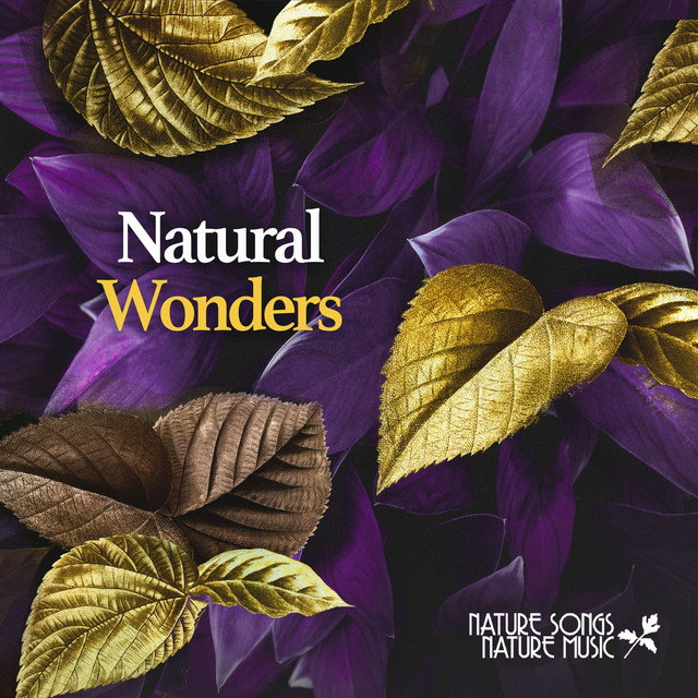 Natural Wonders cover art