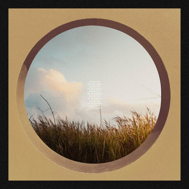 In Reverse cover art