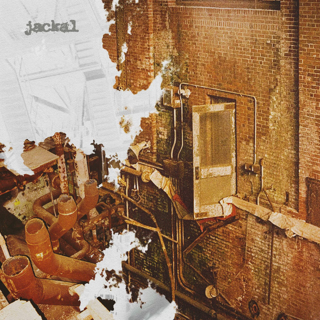 Vault cover art