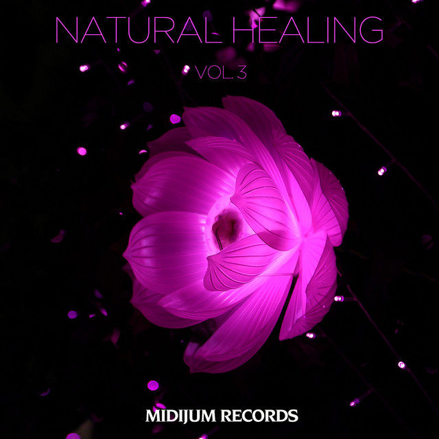 Natural Healing, Vol. 3 cover
