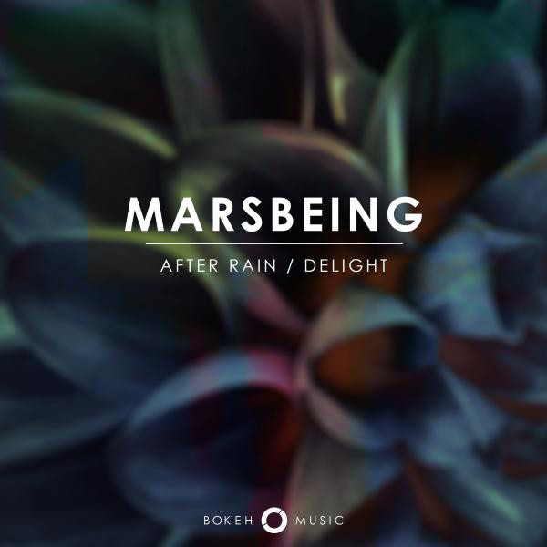After Rain / Delight cover