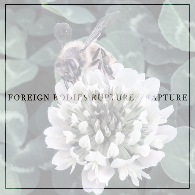 Rupture / / Rapture album image