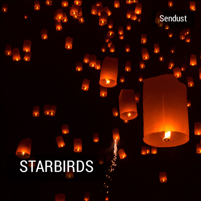 Starbirds cover
