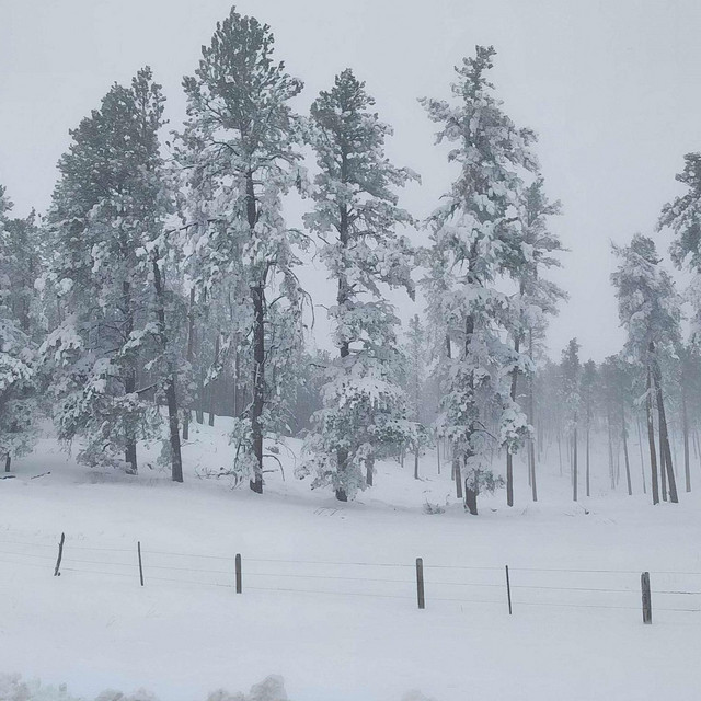 First Snowfall cover art