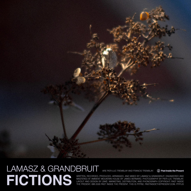 Fictions cover