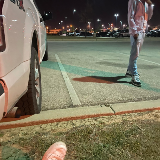 ReaL LiFe cover art