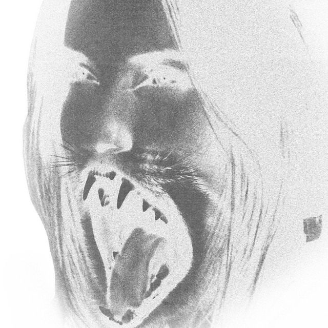 CRISTALINO