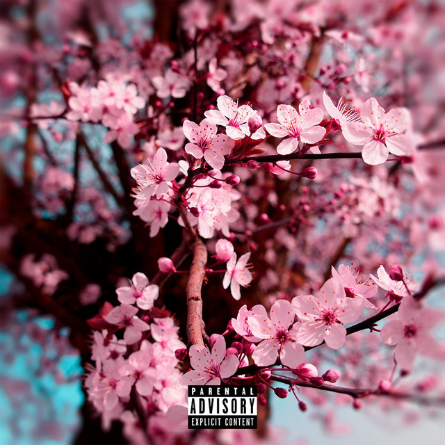 Primavera cover art