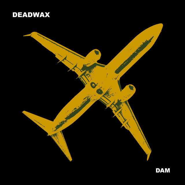 Dam cover art