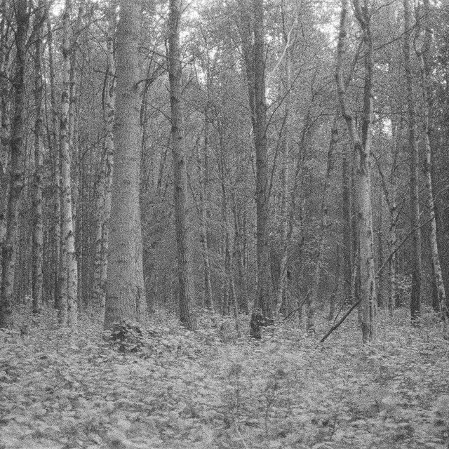 Invisible (1) album image