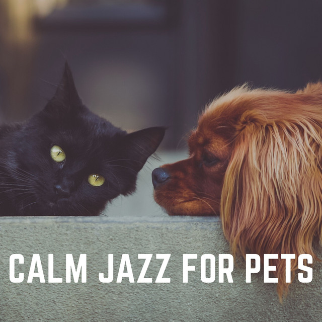 Calm Jazz for Pets - Album by Jazz Music Therapy for Cats | Spotify