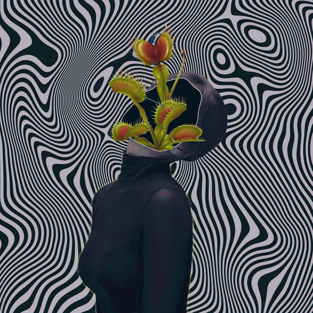 melt cover art