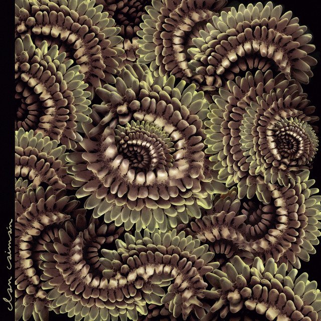 Pica-Pau cover art