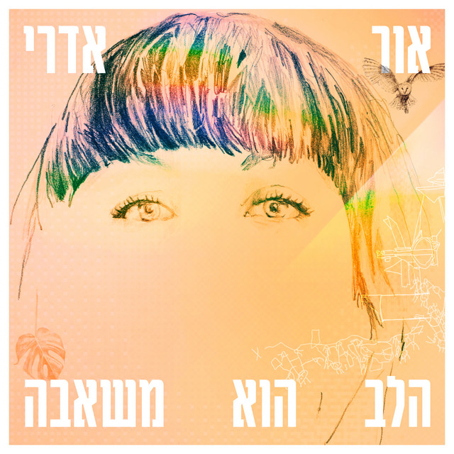 הלב הוא משאבה cover art