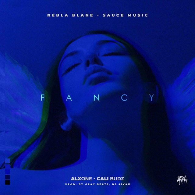Fancy cover art