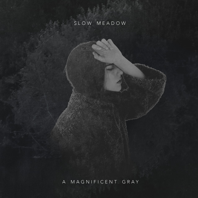 A Magnificent Gray cover art