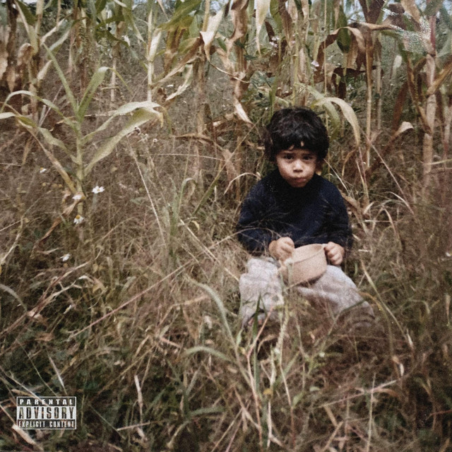 DIAGNOSTICO cover art