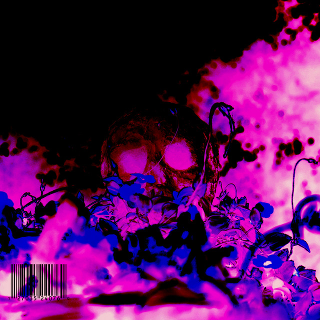 Cherry cover art