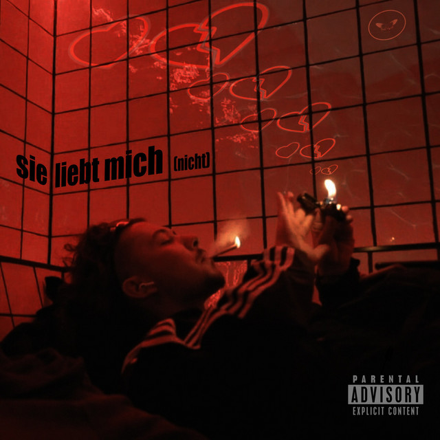 SIE LIEBT MICH (NICHT) cover art