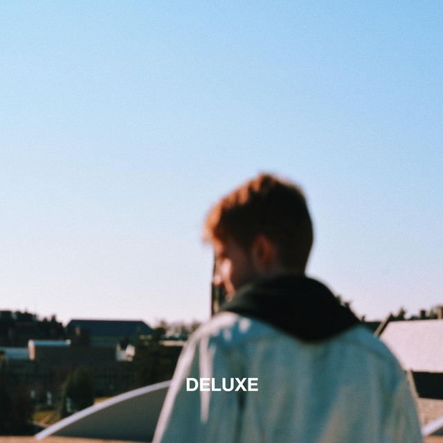 Lowly (Deluxe) cover art