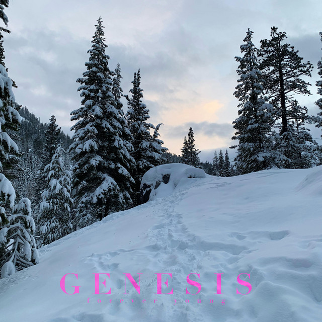 Genesis cover art