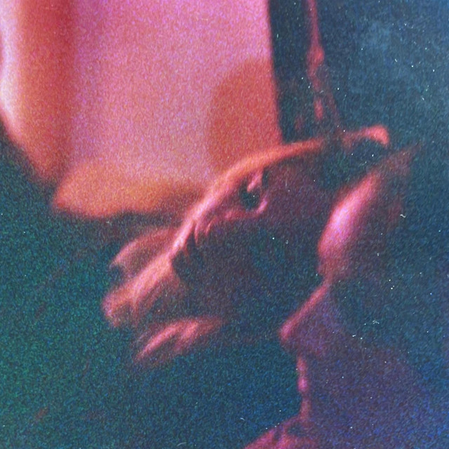 meadow-language cover art