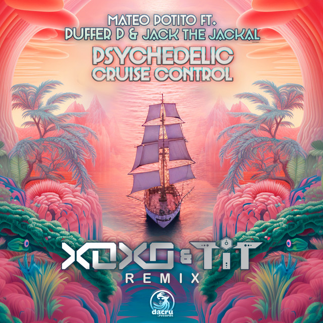 Psychedelic Cruise Control (XoXo & T.i.T Remix) album image