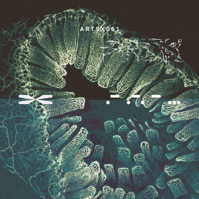 Turbidity album art