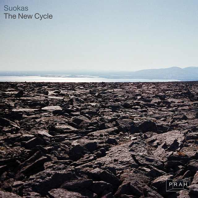 The New Cycle cover art