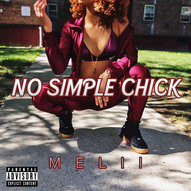 No Simple Chick cover art