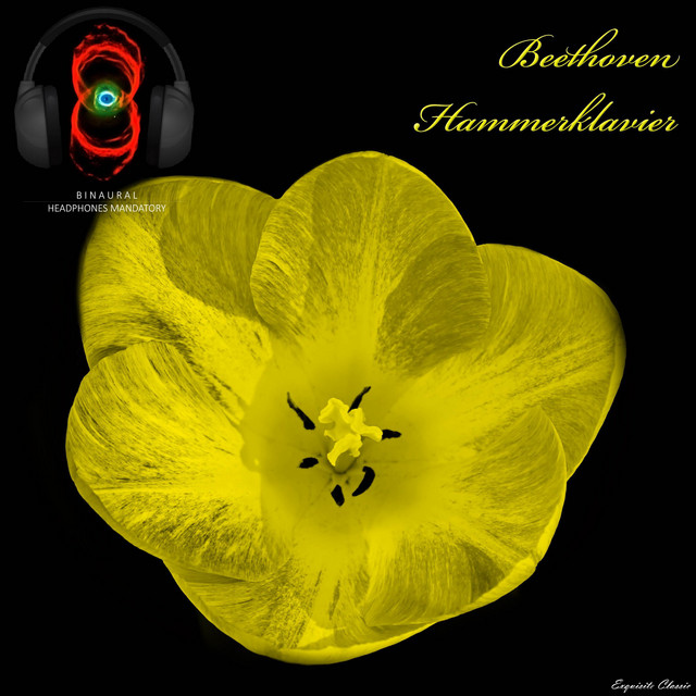 Piano Sonata no. 29 in B flat major 'Hammerklavier', Op. 106 - I. Allegro - Ludwig van Beethoven - 8D - Headphones mandatory for the best experience cover art