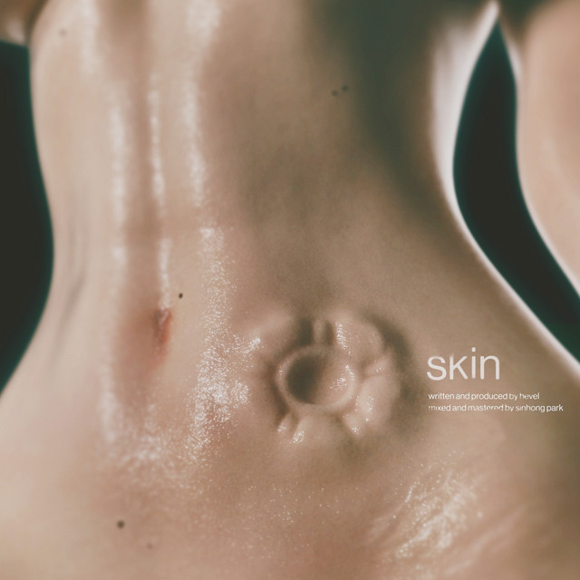 skin cover art