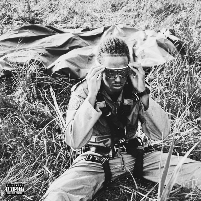 Dingen Gaan Landen cover art