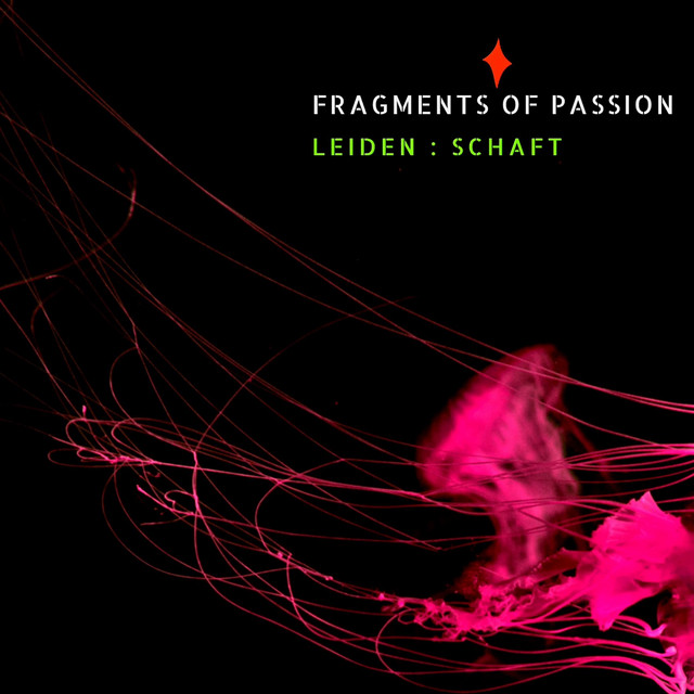 Fragments of Passion – Bestrafe Mich
