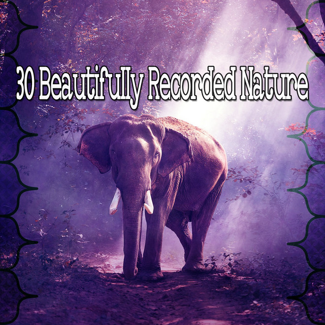 30 Beautifully Recorded Nature - Album by Sleep Sounds of Nature | Spotify