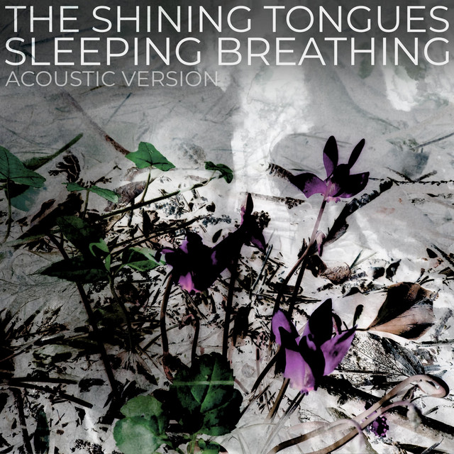 Sleeping Breathing (Acoustic) (single)
