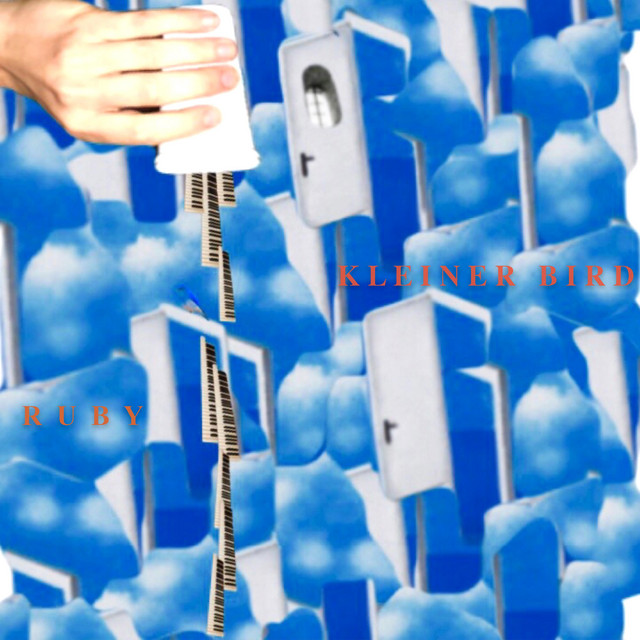 Kleiner Bird cover art