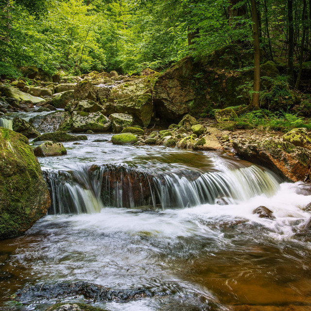 Soothing River Sounds (Loopable, No Fade) cover art
