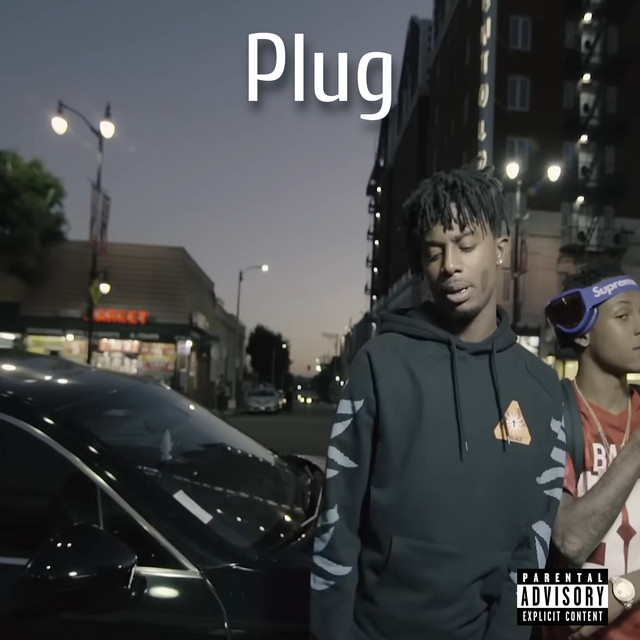 Plug