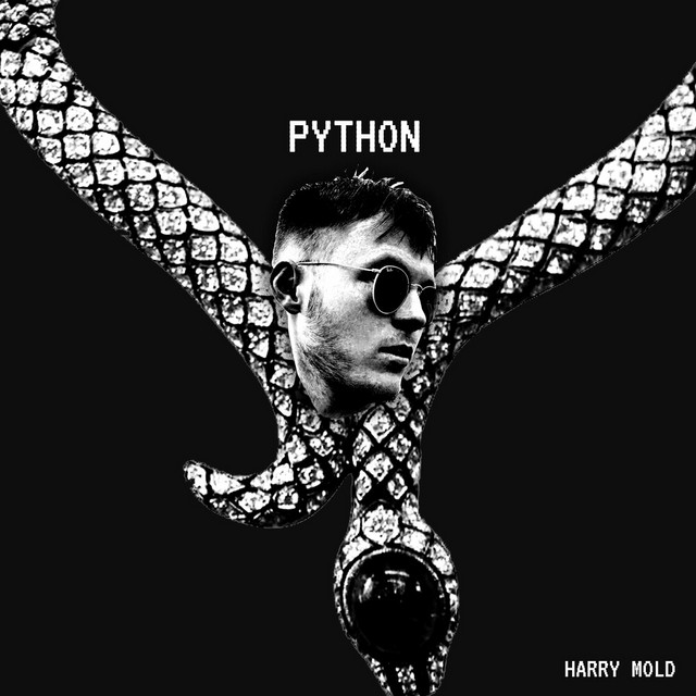 Python cover art