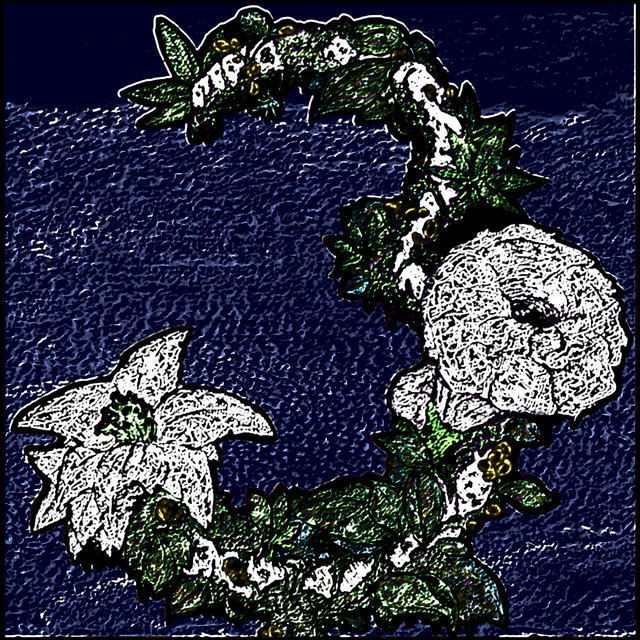 Floral 3 cover art