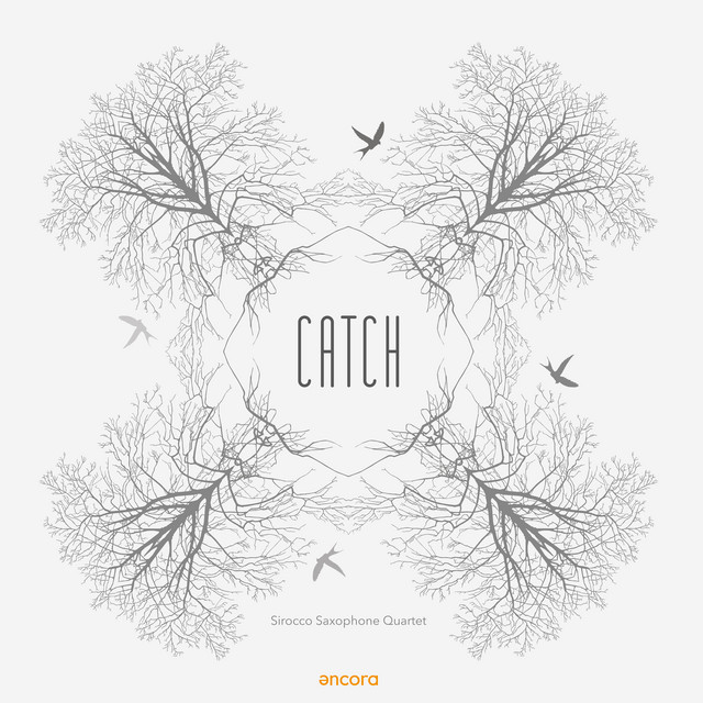 Catch cover