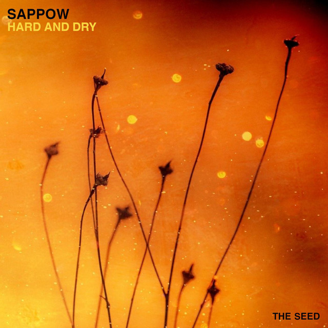 Hard and Dry cover art