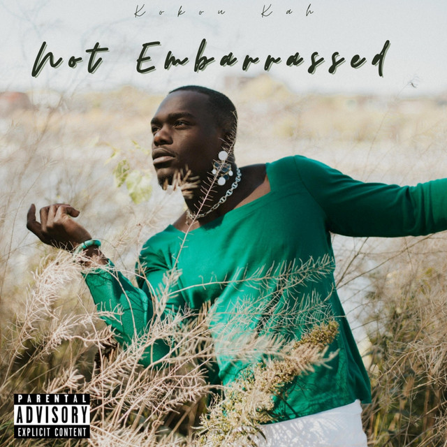 Not Embarrassed cover art