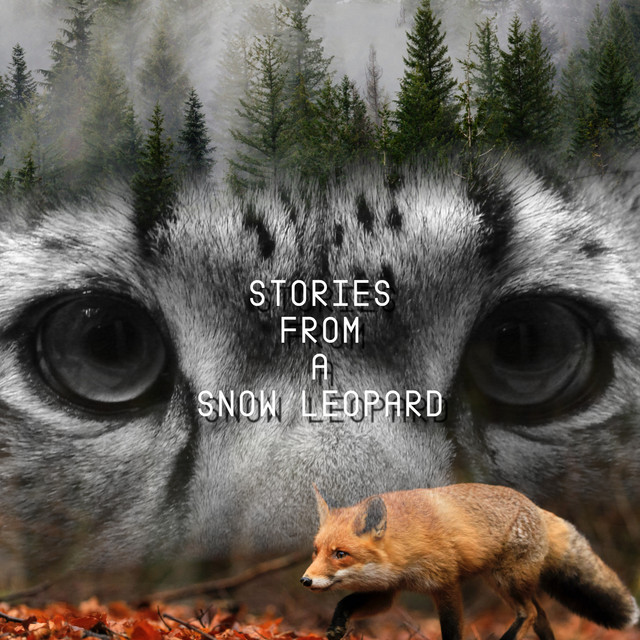 Stories From A Snow Leopard EP cover art