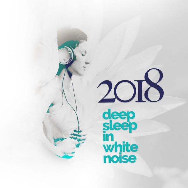 2018Deep Sleep in White Noise cover art