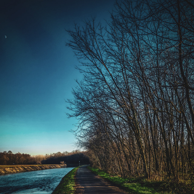 the long walk home