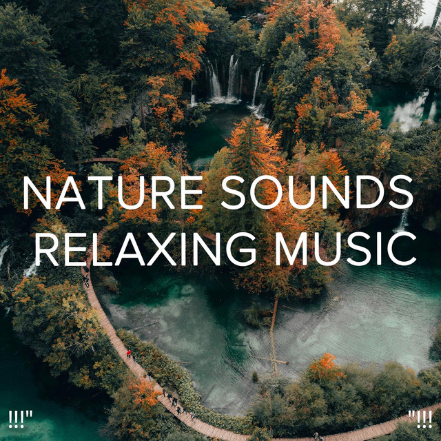 !!!" Nature Sounds Relaxing Music "!!! cover art